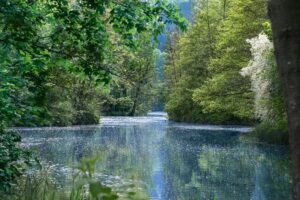 A serene river meandering through a verdant forest, capturing nature's peace.